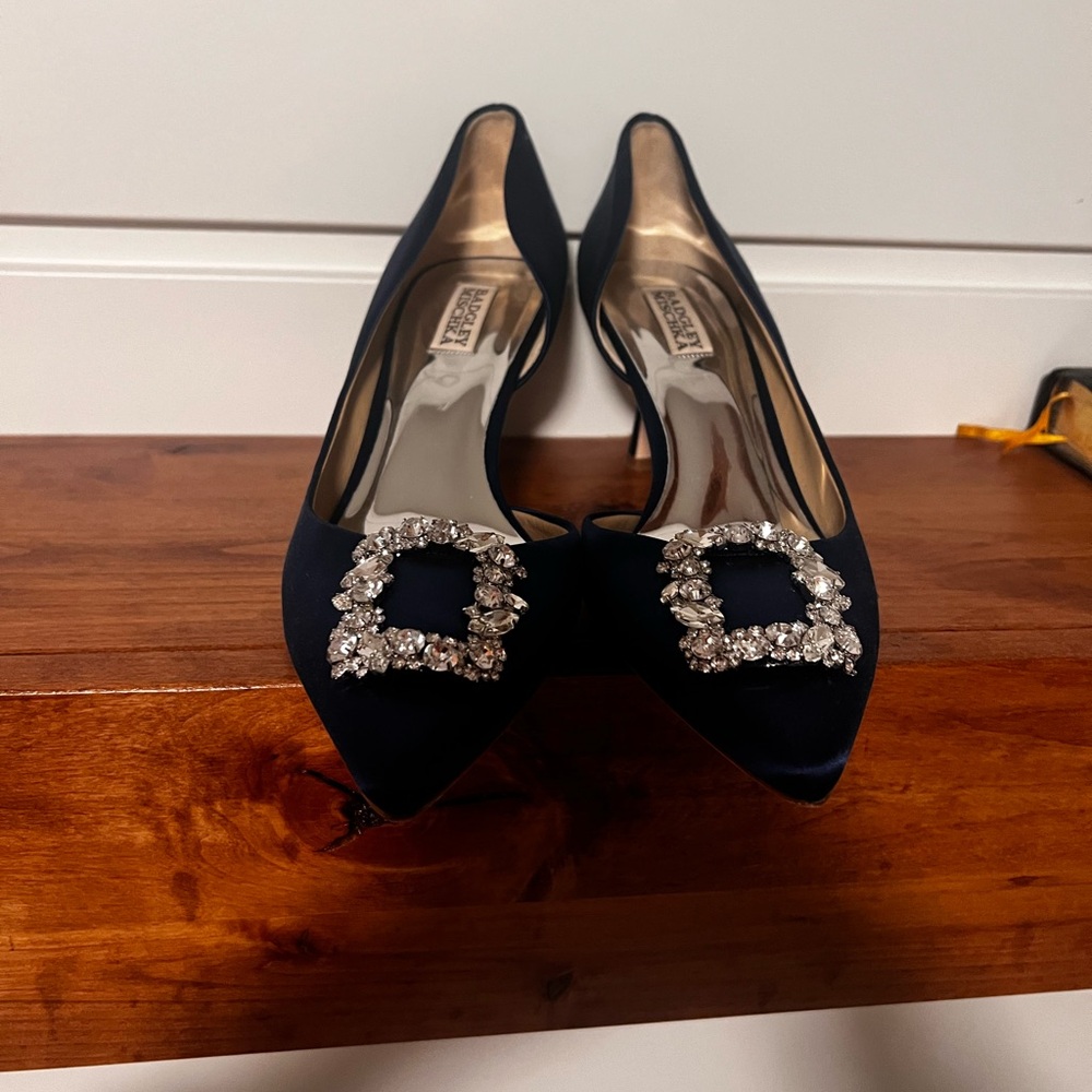 Badgley Mischka women’s fabia embellished pointed toe pump